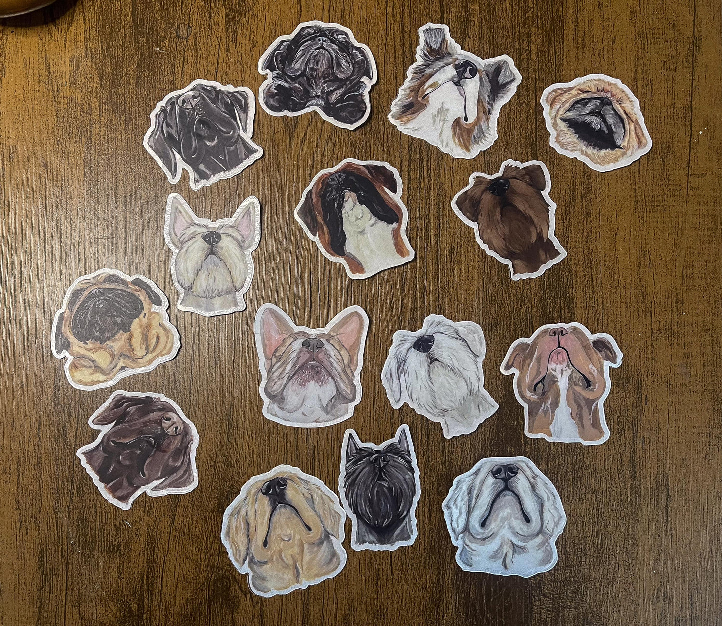 The Australian Shepherd Dog Sticker