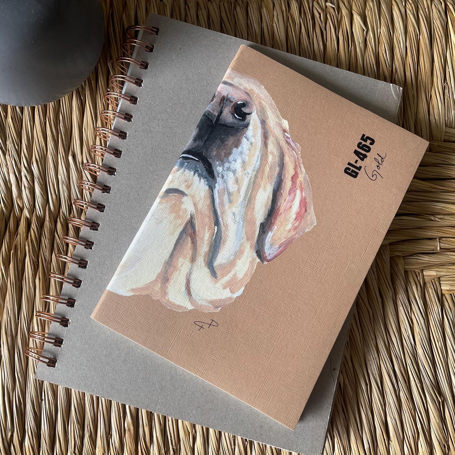 The Lab Journal