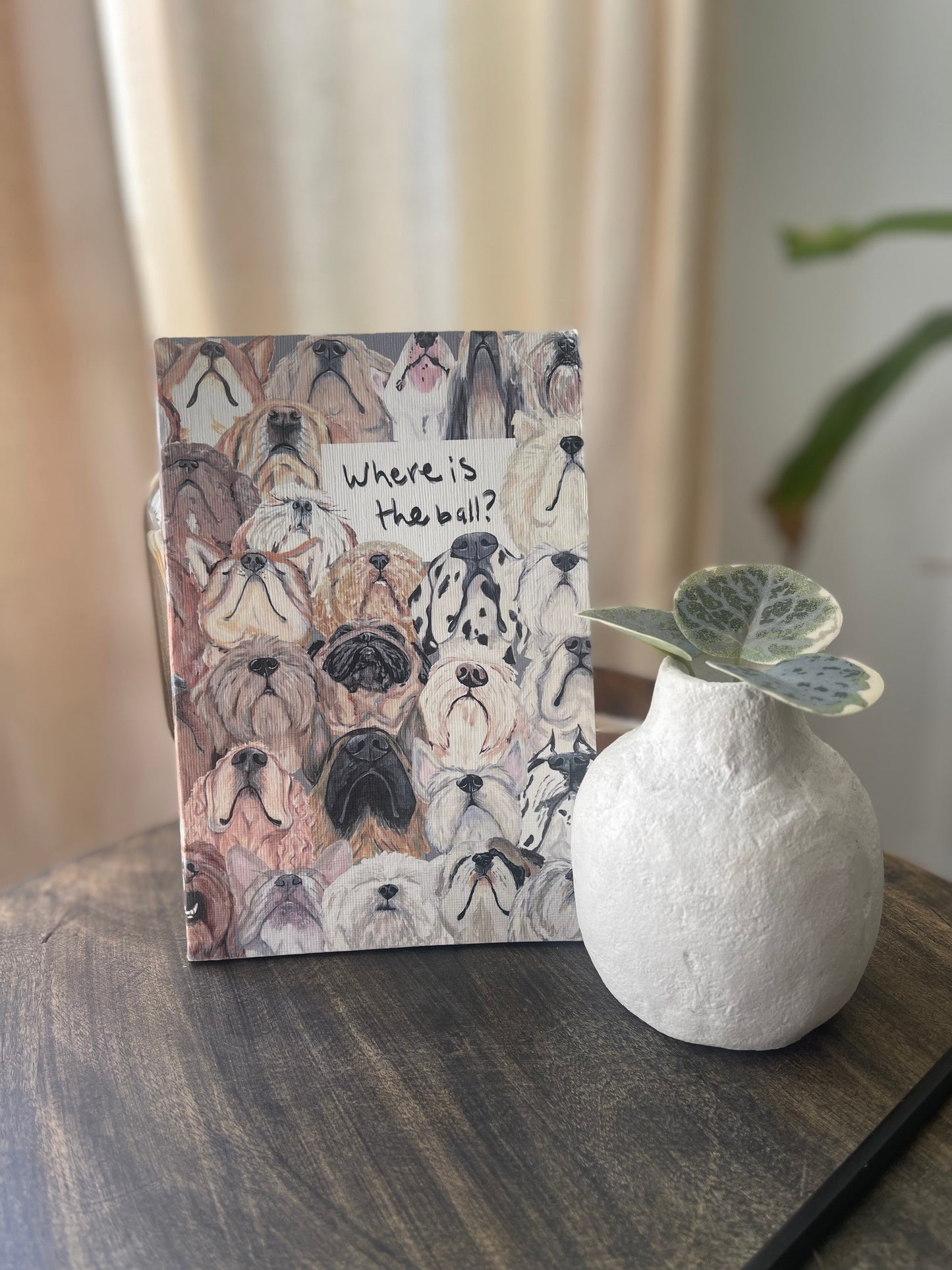 The Where is the ball Journal