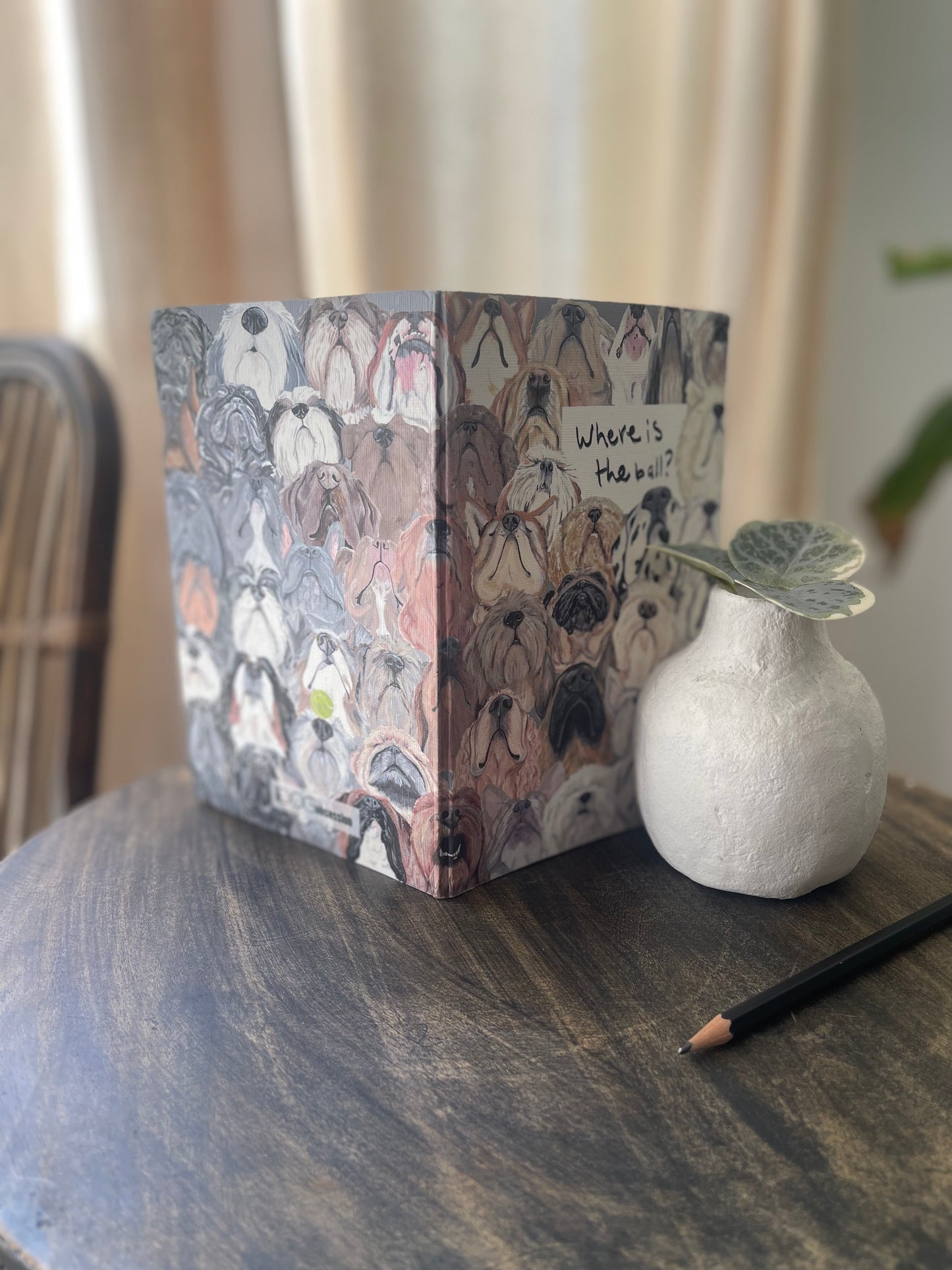 The Where is the ball Journal