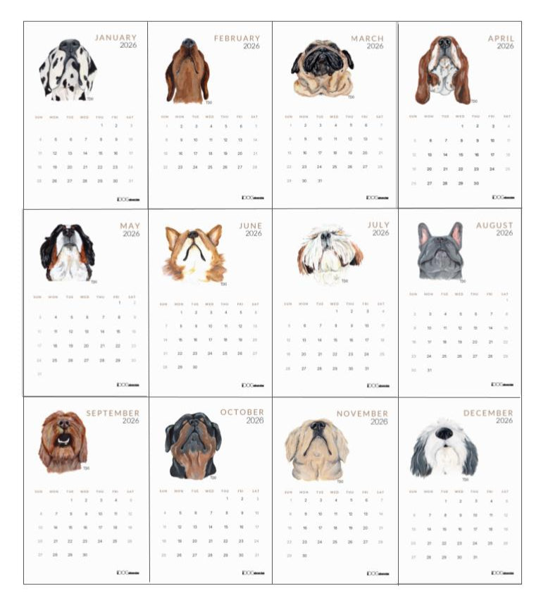 The Desk Calendar 2026