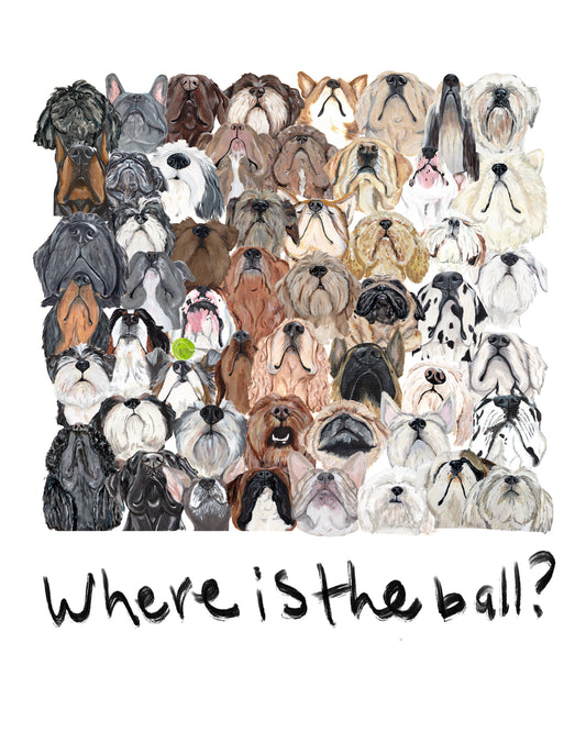The Where is the ball Print