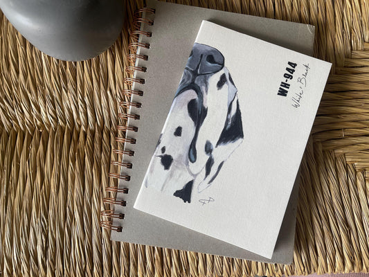 The Dalmatian Journal