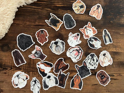 The Bernese Mountain Dog Sticker