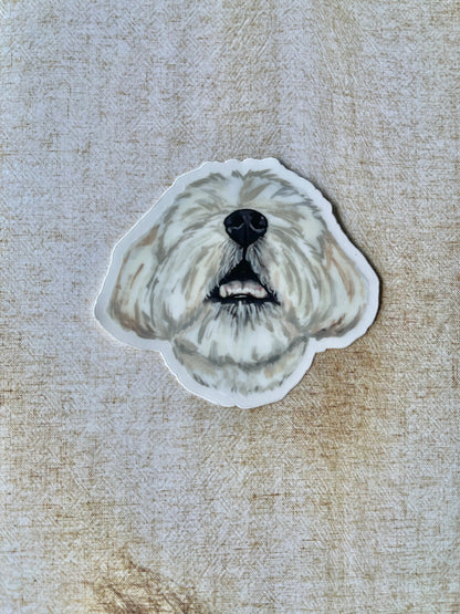 The Shichon Dog Sticker