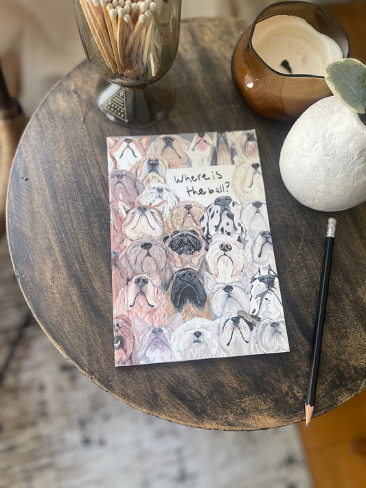 The Where is the ball Journal