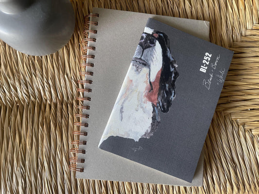 The Bernese Journal
